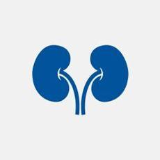 Urology and Drainage