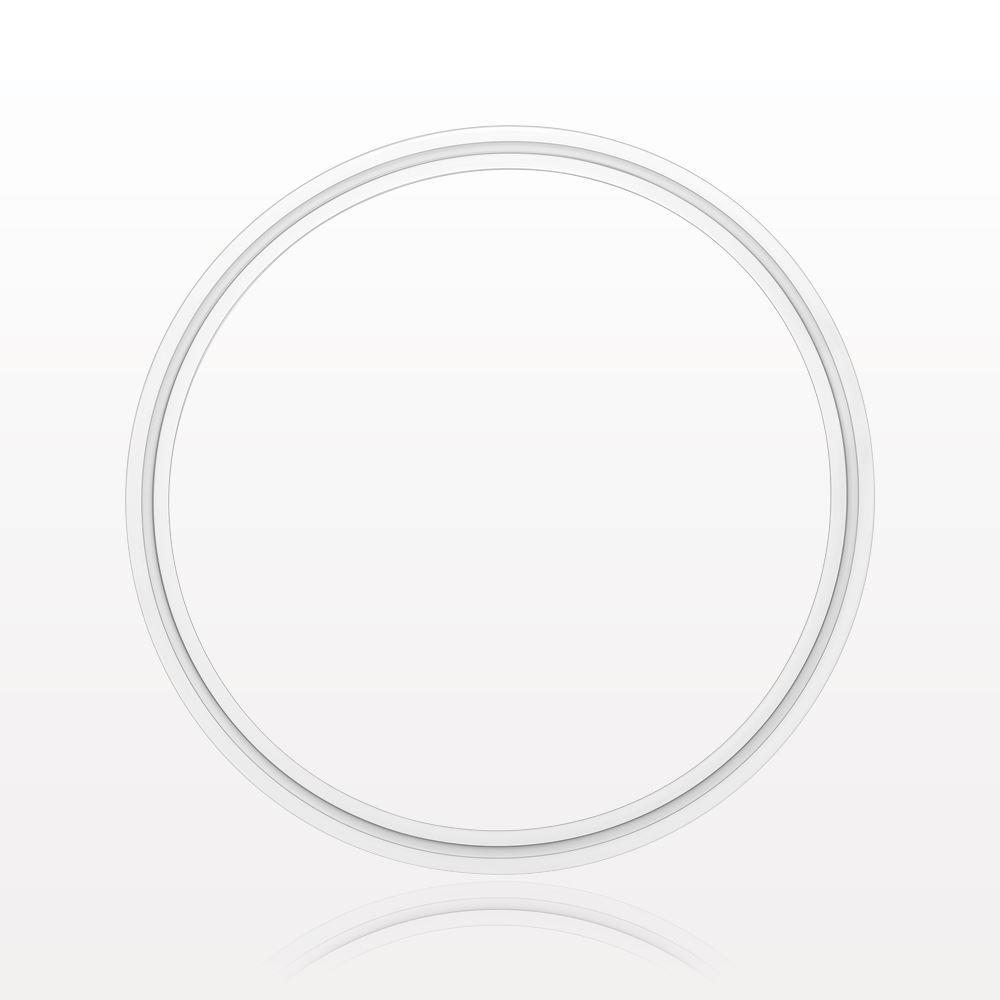 Sanitary Flange Gasket