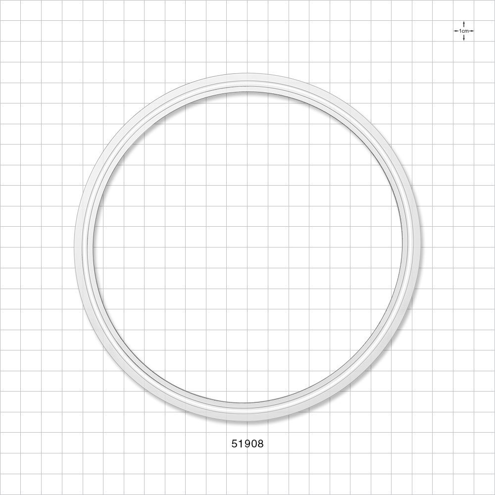 Sanitary Flange Gasket